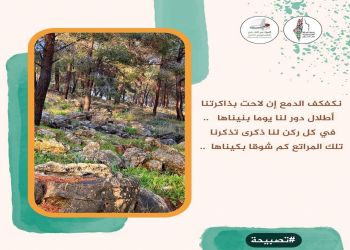 صباحكم مقدسي