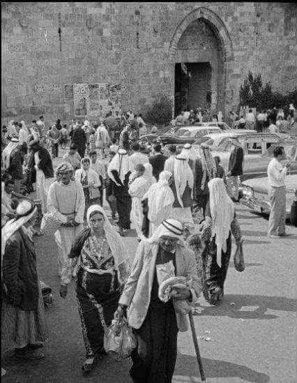 القدس طريق باب العمود عام 1936